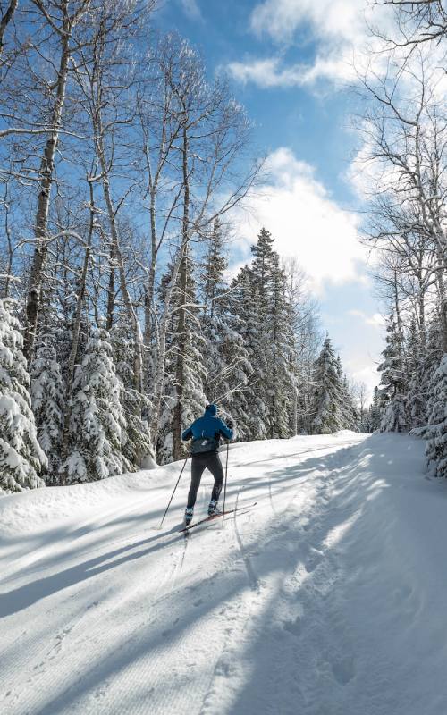 Ski de fond